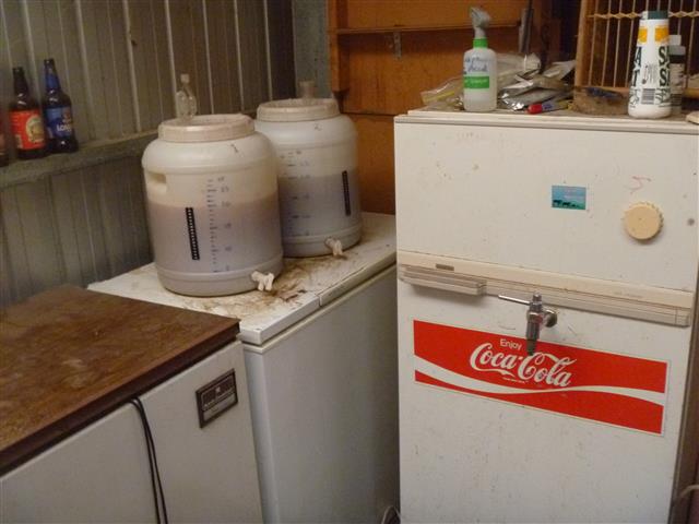 P1010187 (Small).JPG