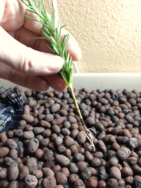 2013-03-01 08.11.59.jpg