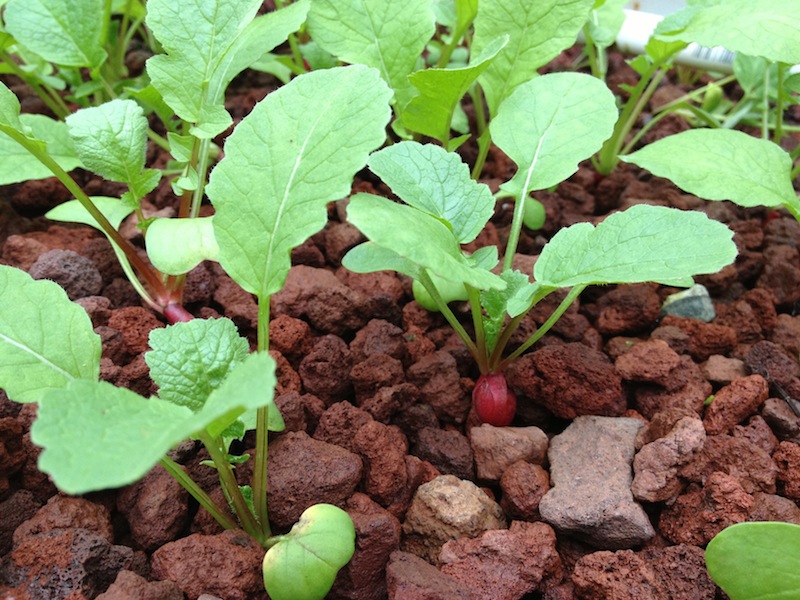 2013-03-02 14.09.45.jpg