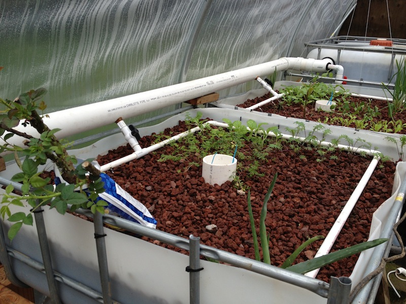 2013-03-02 14.12.41.jpg