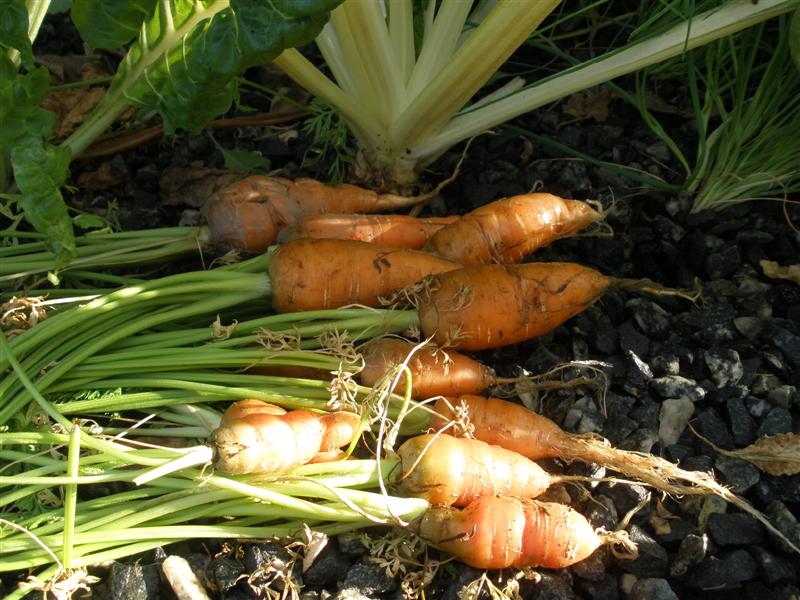 Commercial system 171 (Medium).jpg