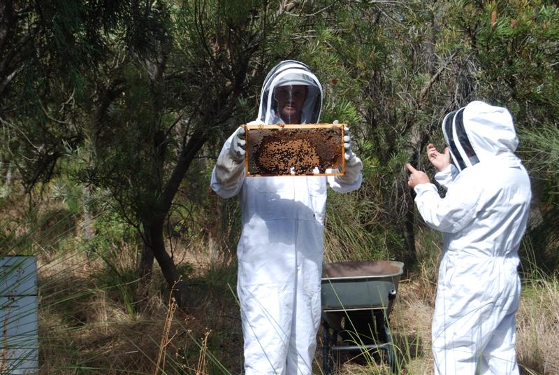 Inspecting the frames (Medium).jpg