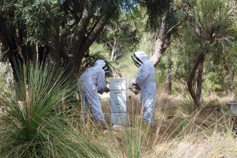 Melbourne 069 (Medium).jpg