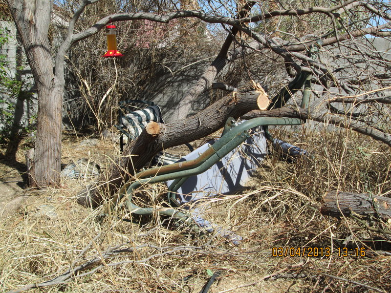 rsz_img_chopping out the fallen mesquite.jpg