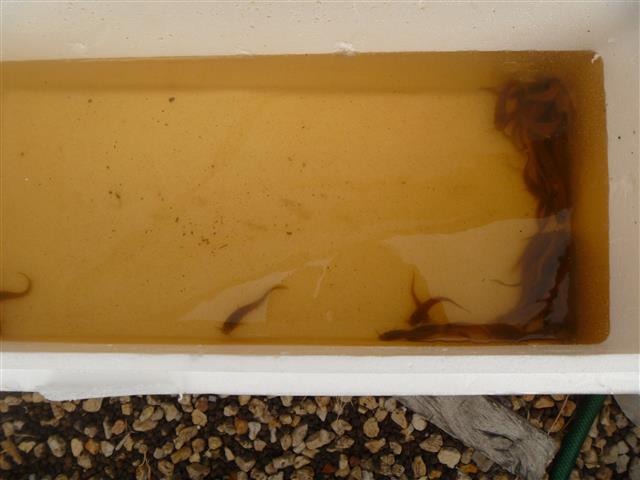 P1010192 (Small).JPG