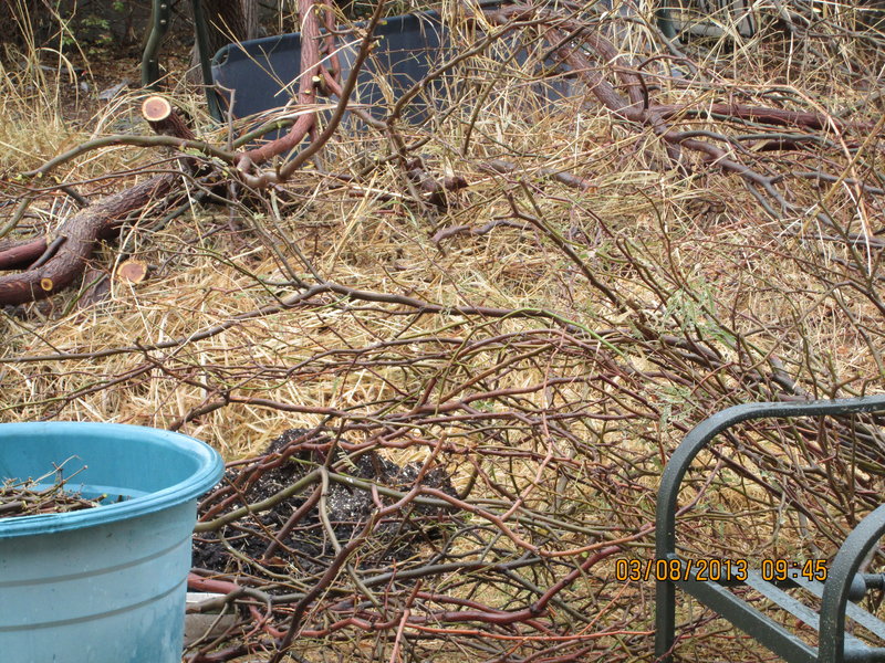 rsz_img_loads more to cut down.jpg