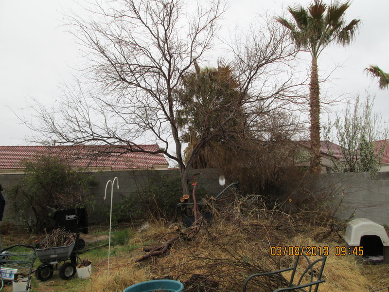 rsz_img_Lots more space.jpg