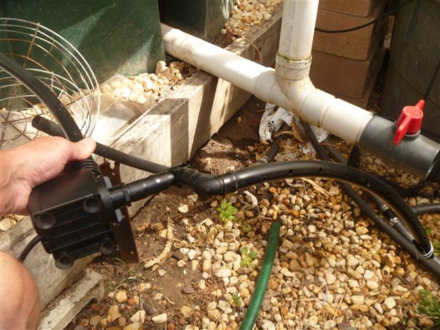 P1010196 (Small).JPG