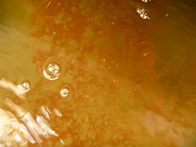 P1010199 (Small).JPG