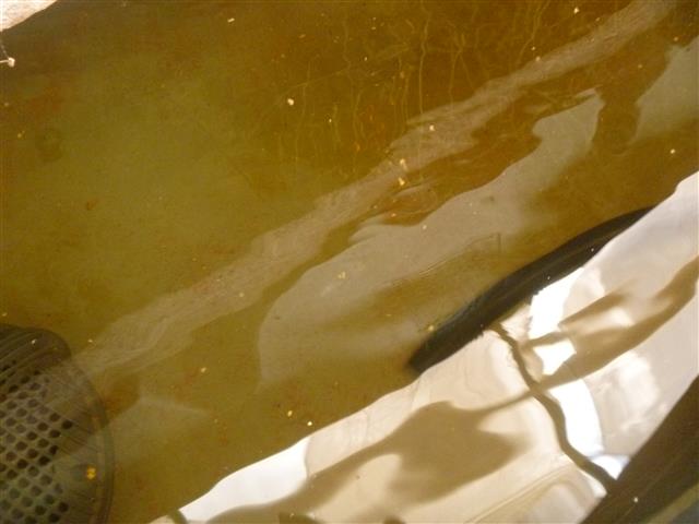 P1010200 (Small).JPG