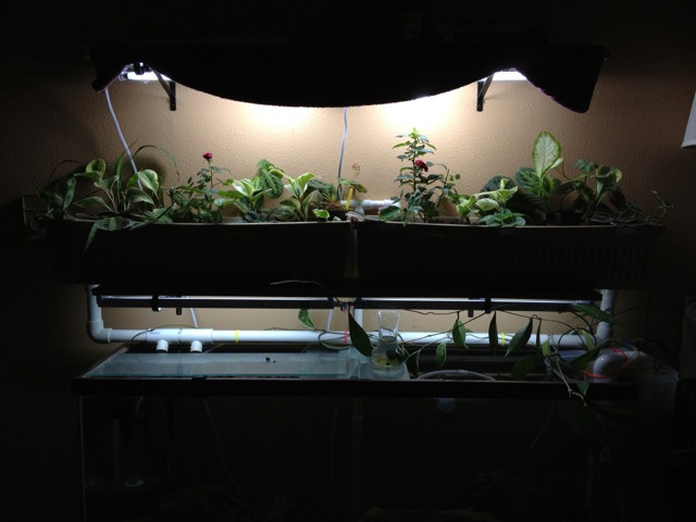 ImageUploadedByTapatalk HD1362841723.282871.jpg