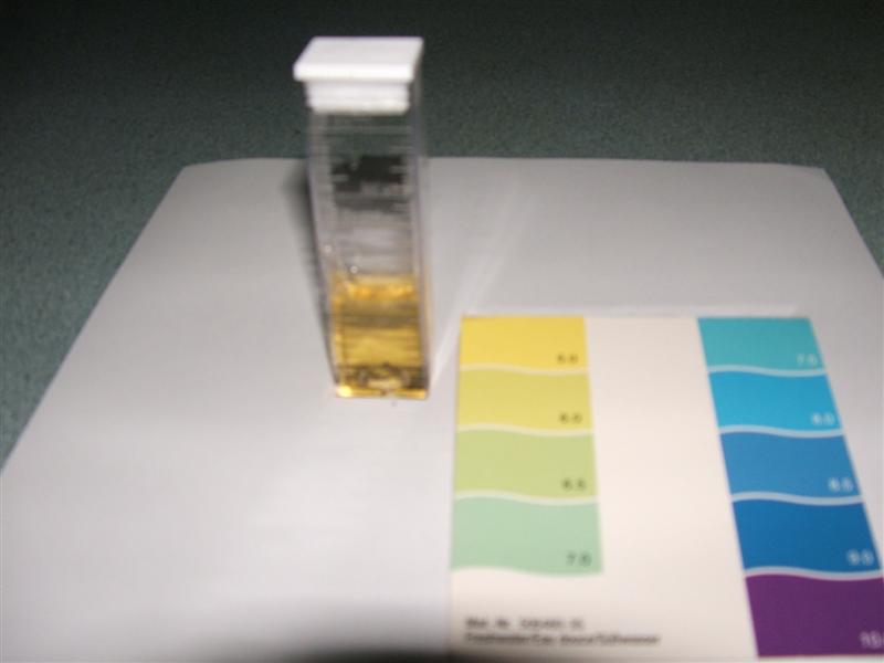 DSCF2585 (Medium).JPG