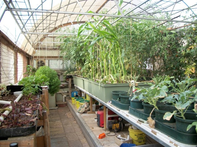 100_0349 (Medium) (Small).JPG