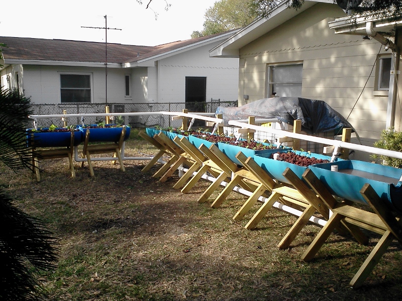 IMG153 (800x600).jpg