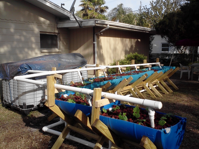 IMG155 (800x600).jpg