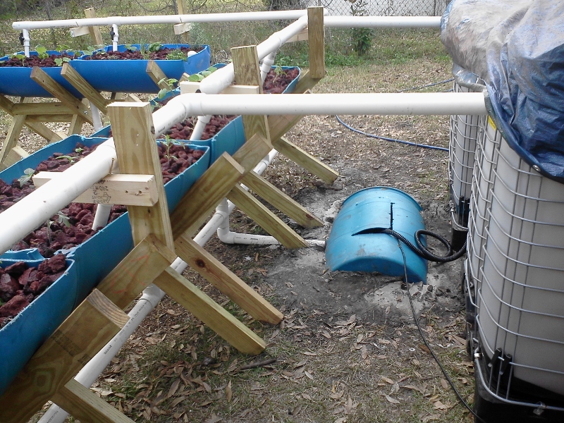 IMG158 (800x600).jpg