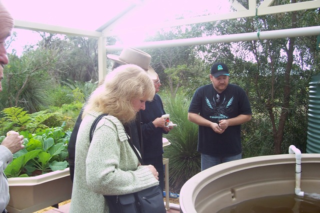 aquaponcis 29.7.07 004 sm.jpg