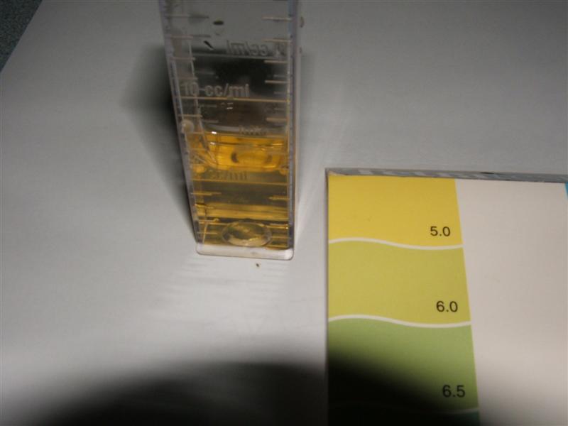 DSCF2590 (Medium).JPG