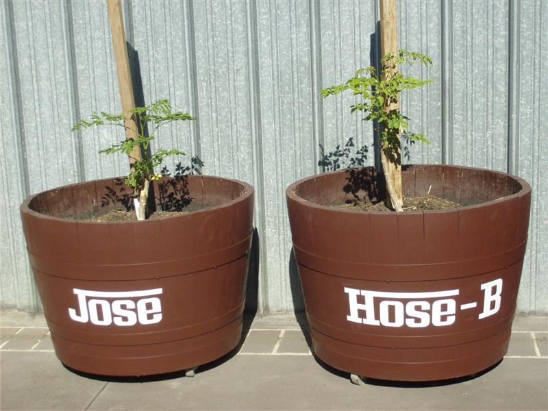 Jose-&-Hose-B 01-01-2013 (Medium).jpg