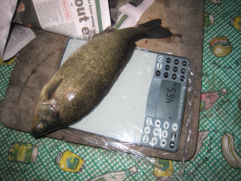 Fish dinner tonight.jpg