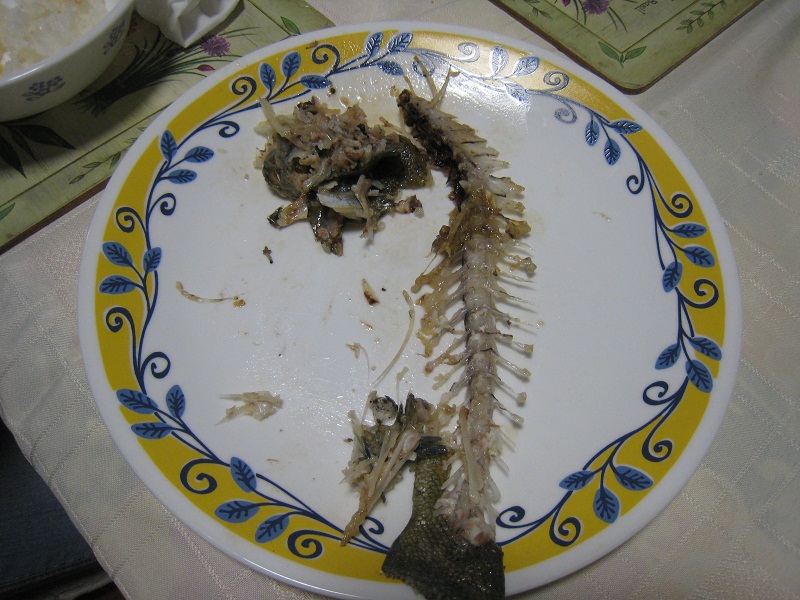 Where is the head!.jpg