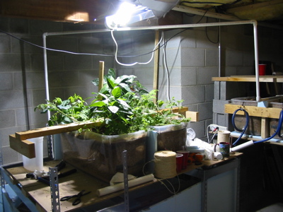 Phase One Halfway.jpg