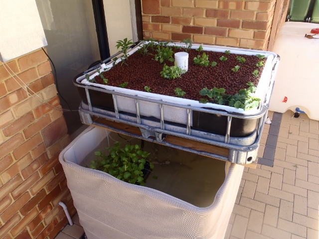 P1271396 (640x480).jpg