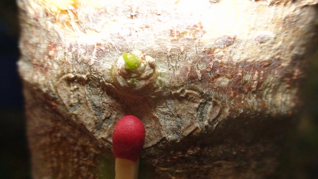 DSC00533 (640x360).jpg