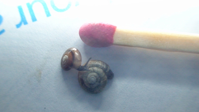 DSC00552 (640x360).jpg