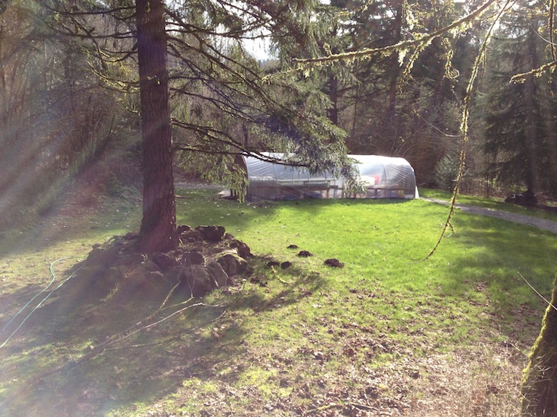 2013-03-03 15.02.18.jpg