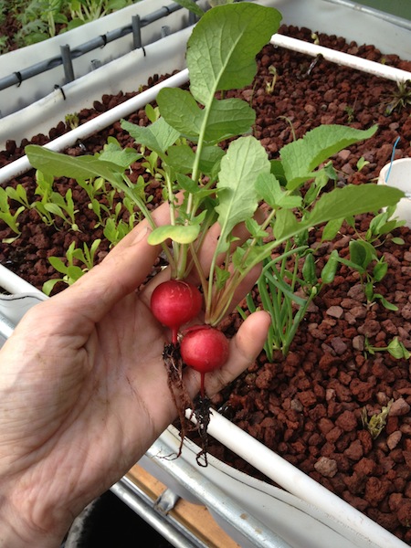 2013-03-13 16.22.49.jpg