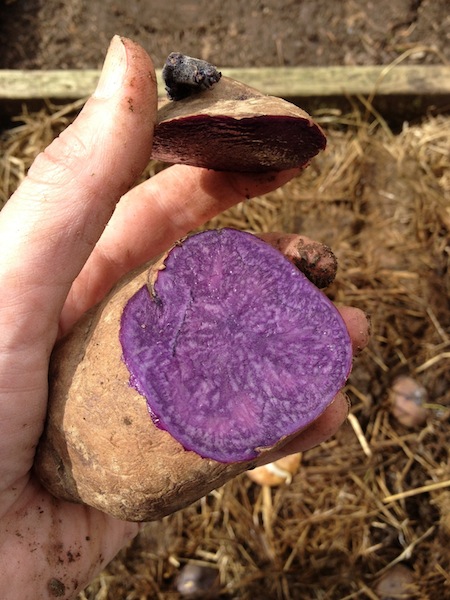 2013-03-15 13.24.19.jpg