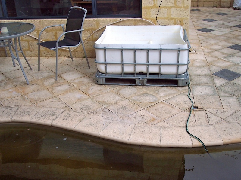 Puddle IBC GB.jpg