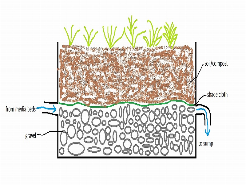 AP wicking bed sketch.jpg