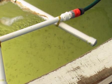 fisheries research 019.jpg