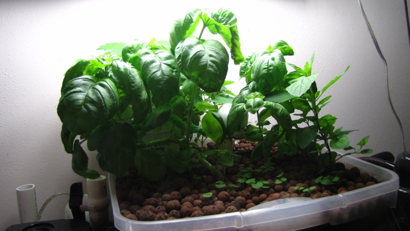 IMG_5313 (800x450).jpg