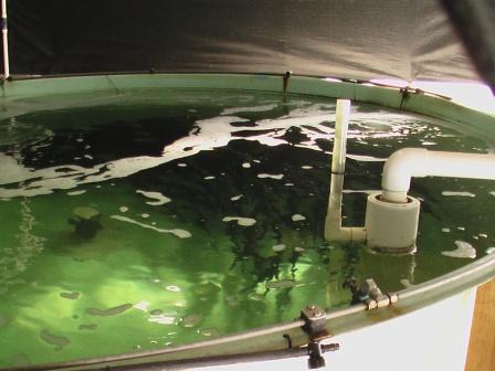 fisheries research 026.jpg