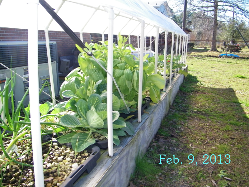 10 bed system feb 9 2013.jpg
