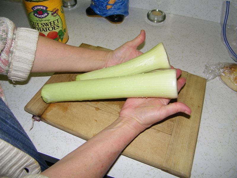 leeks 2.jpg