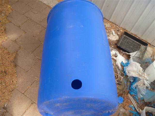 P1010209 (Small).JPG