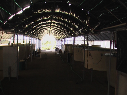 fisheries research 028.jpg