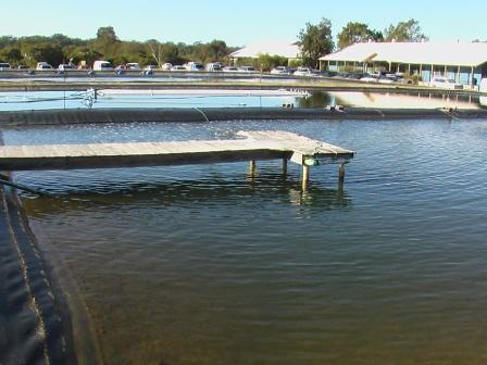 fisheries research 008.jpg