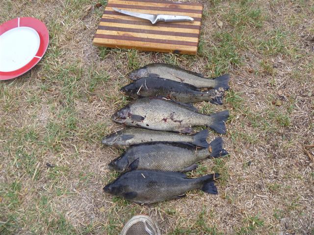 P1010222 (Small).JPG