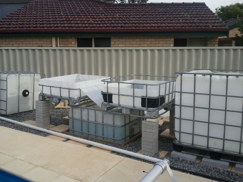 IMG_20130319_080621 (800x600).jpg