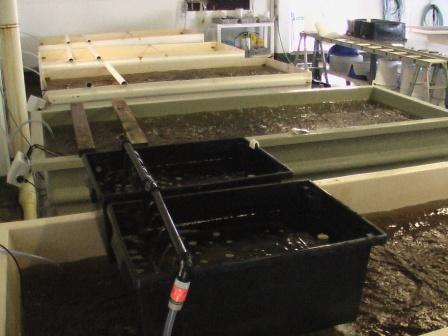 fisheries research 006.jpg