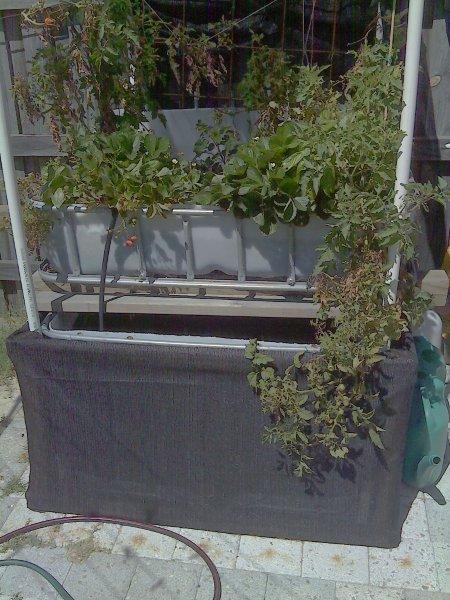 Pic_0313_121 (2).jpg