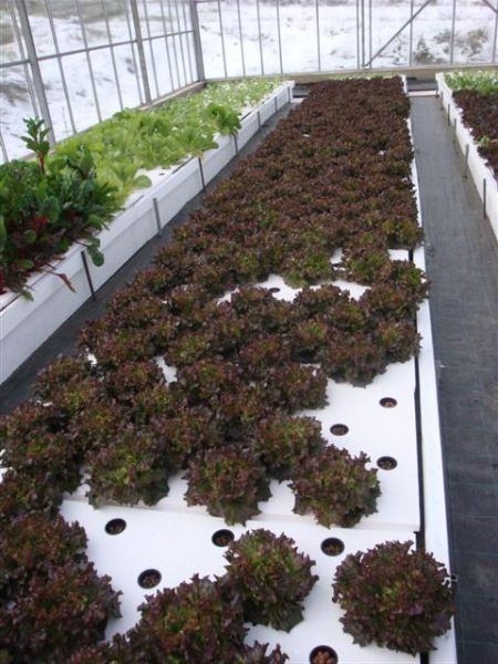 DSC06177 (Small).JPG