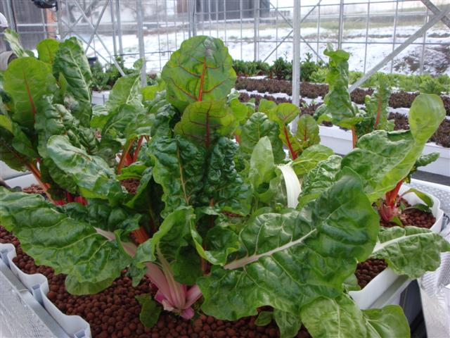 DSC06175 (Small).JPG