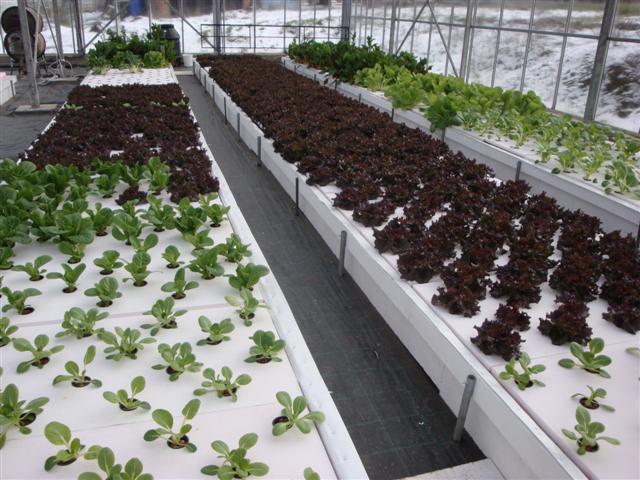 DSC06181 (Small).JPG