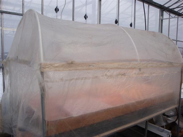 DSC06180 (Small).JPG